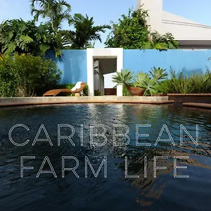 4 Casitas Puerto Rico